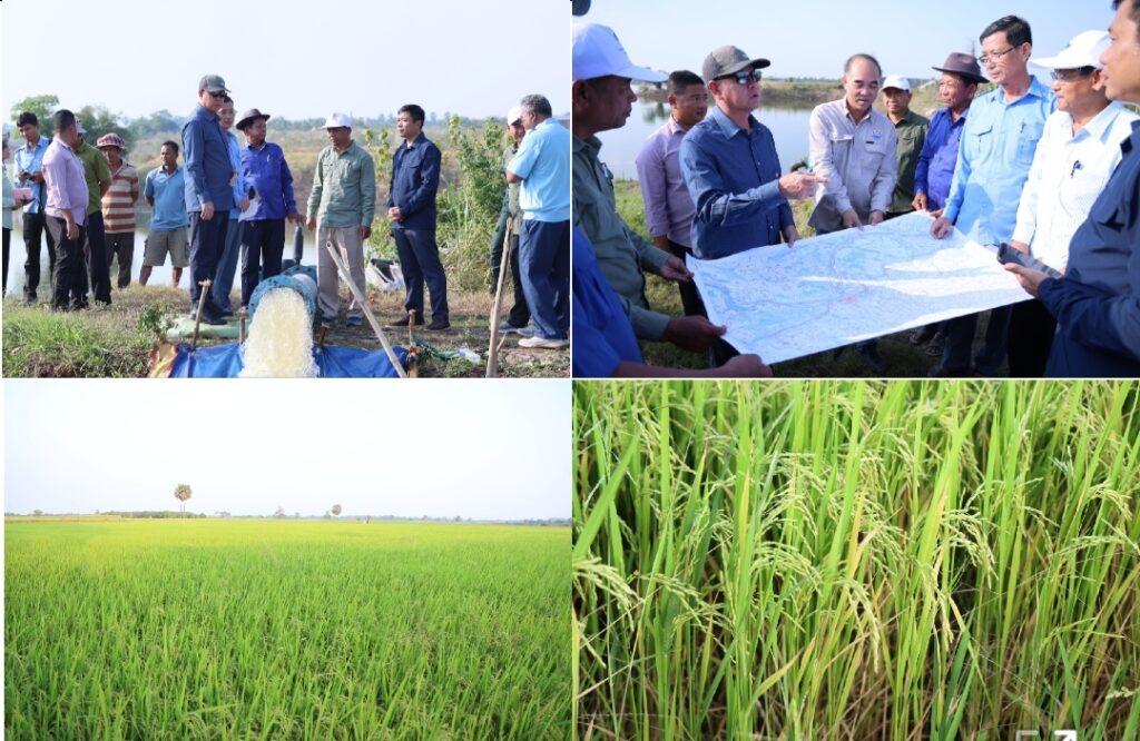 Screenshot_20260116_214231