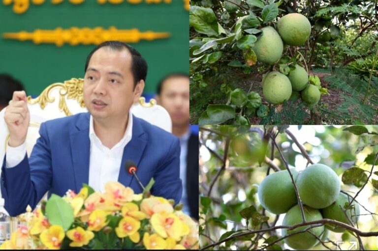 Screenshot_20260316_141543