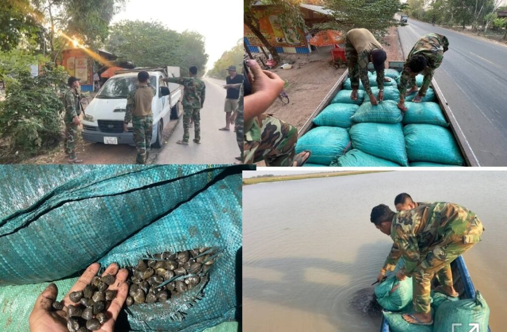 Screenshot_20260325_133131