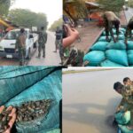 Screenshot_20260325_133131