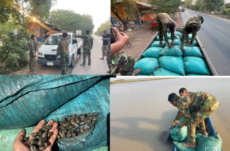 Screenshot_20260325_133131